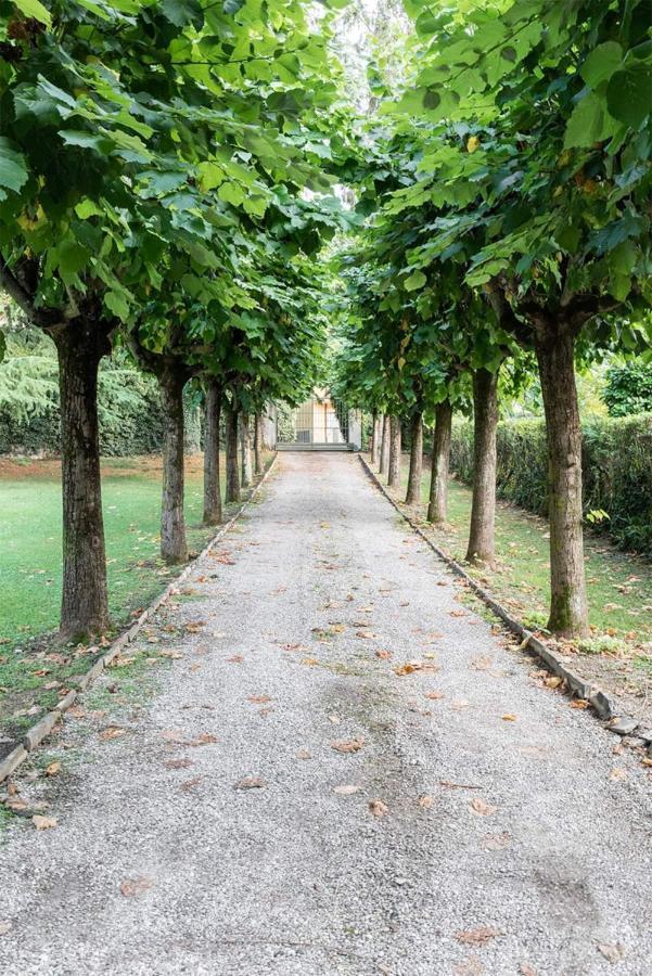 Villa Elisabeth Lierna Zewnętrze zdjęcie